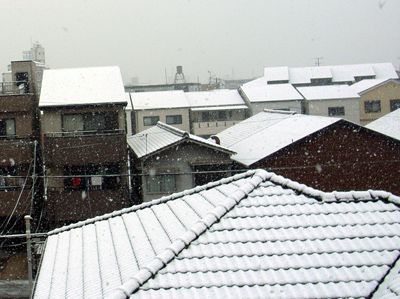 積雪