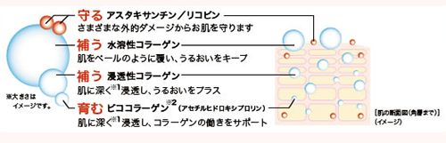 アスタキサンチン・リコピン・コラーゲン