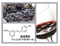 高浸透型レスベラトロール
