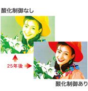 抗酸化テクノロジー