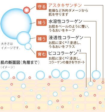 3種類のコラーゲン