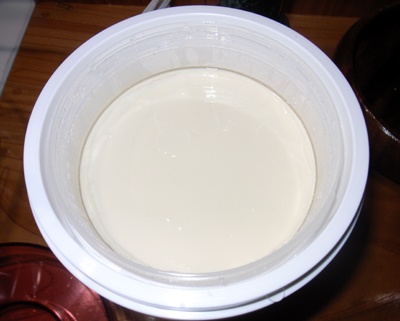ケフィア豆乳ヨーグルト